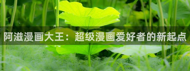 喵趣漫画最新版下：阿滋漫画大王：超级漫画爱好者的新起点