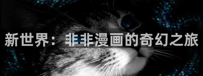 喵趣漫下载：新世界：非非漫画的奇幻之旅