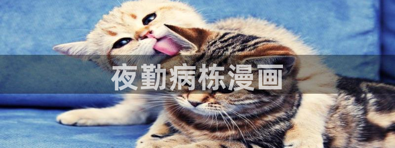 喵趣取漫画下载app：夜勤病栋漫画