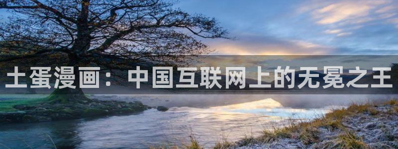 喵趣漫画修好了吗?：土蛋漫画：中国互联网上的无冕之王