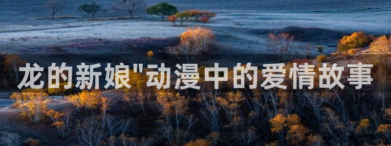 www.喵趣·com：龙的新娘\