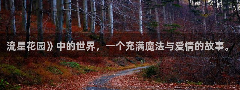 喵趣漫画入口免费阅读：流星花园》中的世界，一个充满魔法与爱情的故事。