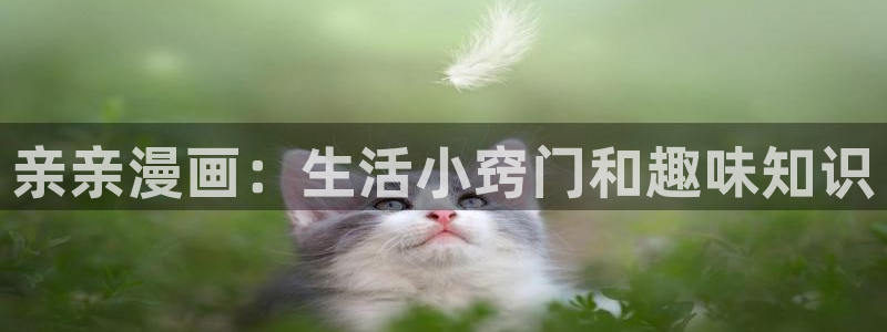 喵趣漫画最新版官网：亲亲漫画：生活小窍门和趣味知识