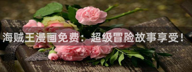 喵趣猫粮好不好：海贼王漫画免费：超级冒险故事享受！