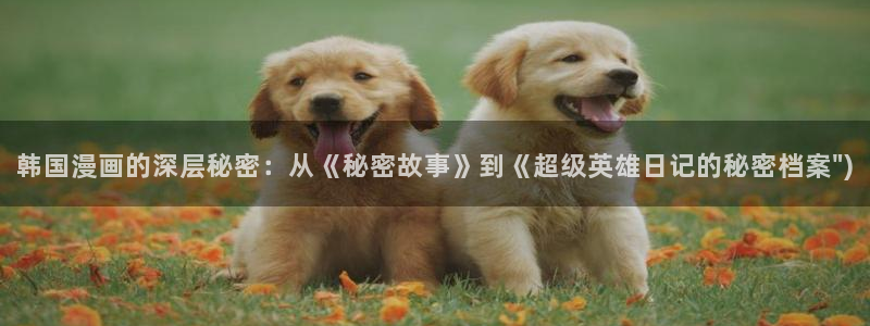 喵趣漫画新版本：韩国漫画的深层秘密：从《秘密故事》到《超级英雄日记的秘密档案\