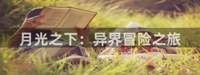 喵趣漫画用不了：月光之下：异界冒险之旅