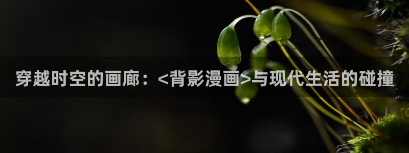 喵趣漫画入口正版：穿越时空的画廊：<背影漫画>与现代生活的碰撞