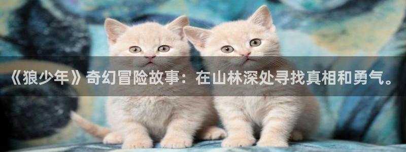 ww.喵趣top：《狼少年》奇幻冒险故事：在山林深处寻找真相和勇气。