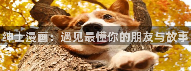 www.喵趣.top：绅士漫画：遇见最懂你的朋友与故事