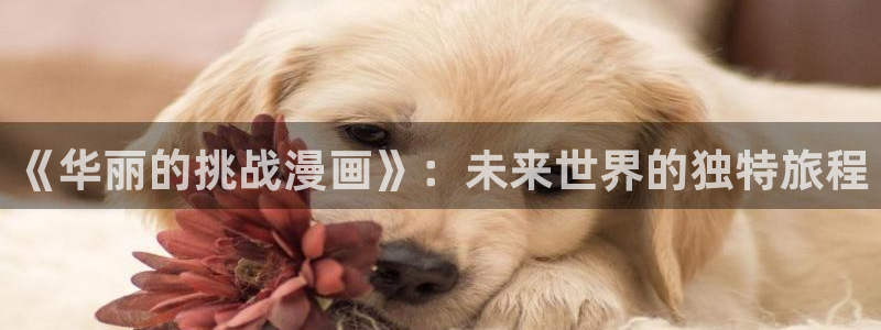 喵趣漫画旧版：《华丽的挑战漫画》：未来世界的独特旅程